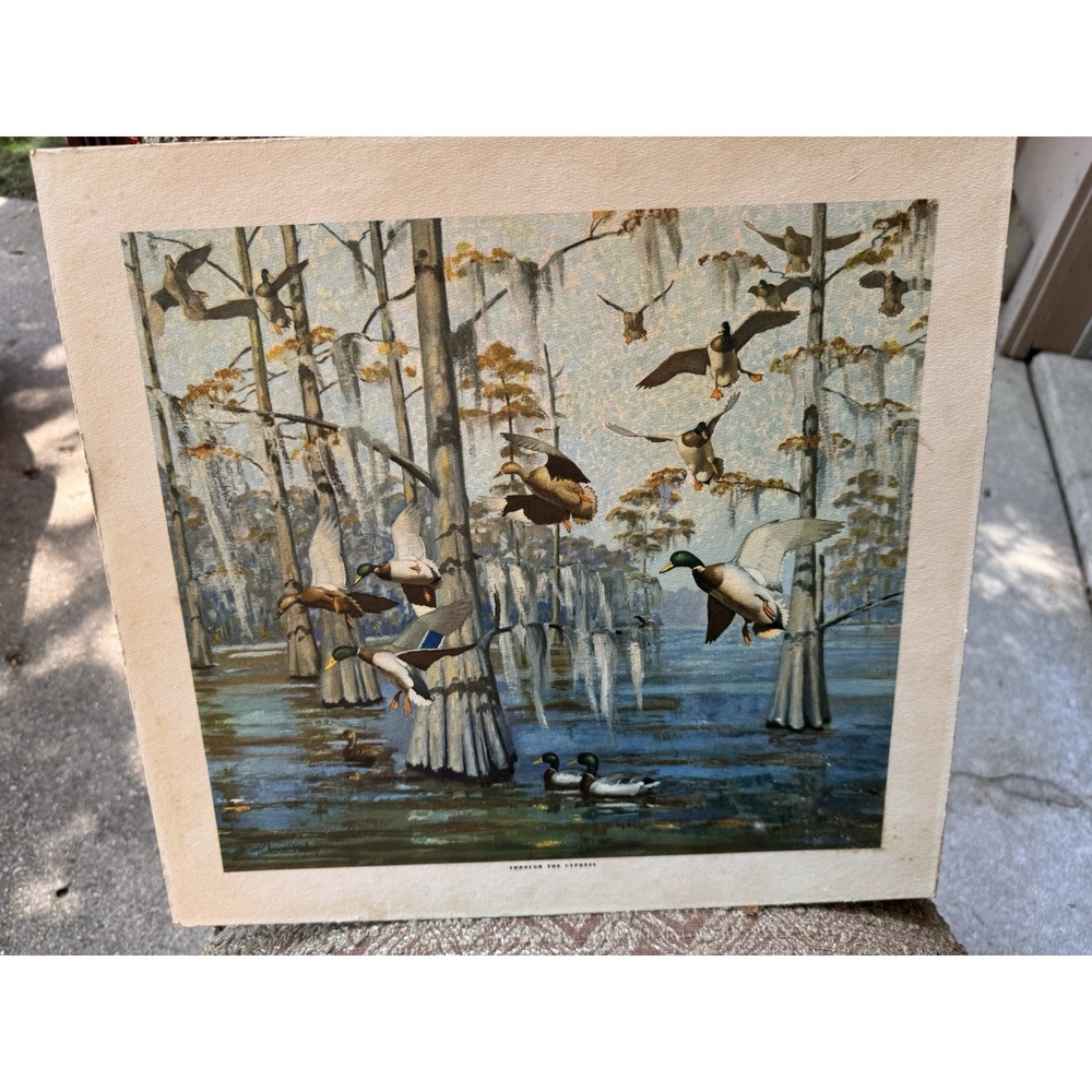 Vintage Richard E Bishop Mallard Duck Print Through The Cypress Wildlife Art